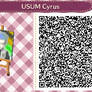 Animal Crossing New Leaf: US/UM Cyrus QR Code