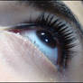 False Lash Effect I