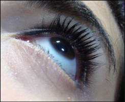 False Lash Effect I