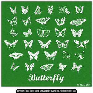 Butterfly_Simple_Style