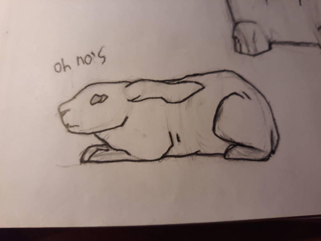 Rotting Rabbit Drawing The Rabbit in trouble by SketchBunnyart on DeviantArt