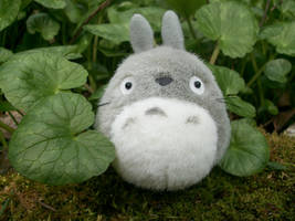 Totoro 2