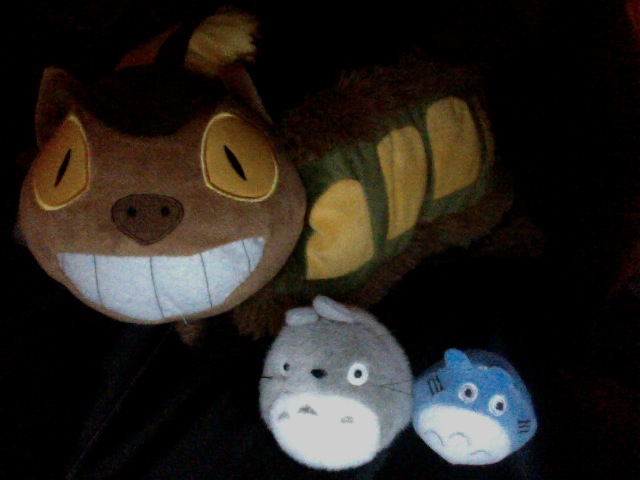 Totoro and Friends