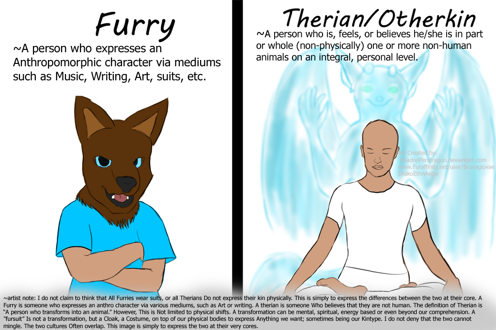 Furry vs Therian (Clarification notes) by DeVoutNumelran on DeviantArt