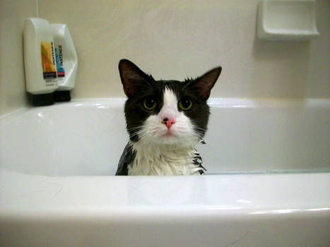 Bath Time?