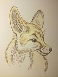 Fennec 