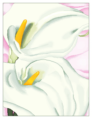 Calla Lilies on Pink-Pixelised