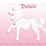 N874 Dreaming of Diamonds and Glamour|Foal Design