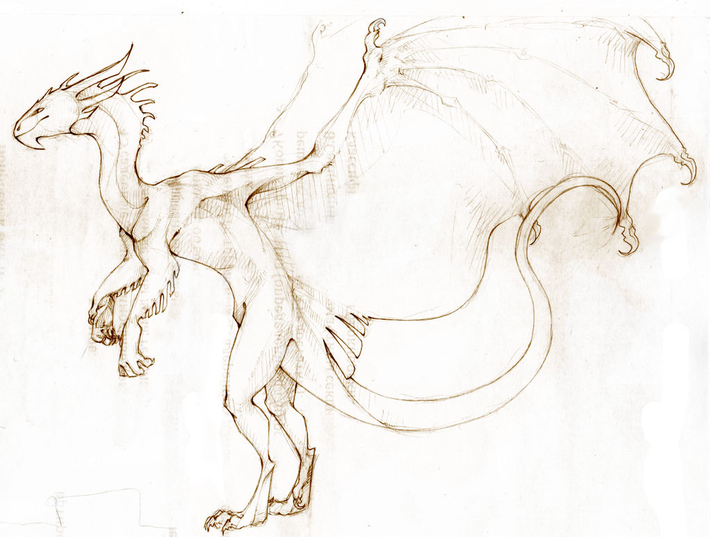 Dragon sketch