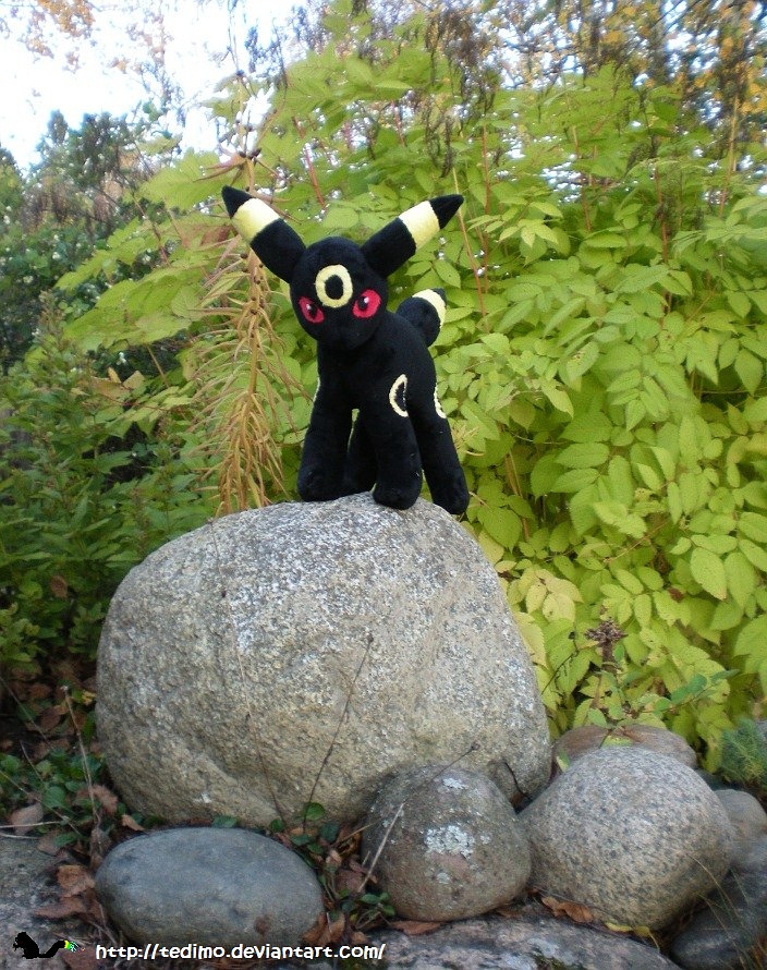 Wild Umbreon Appeared