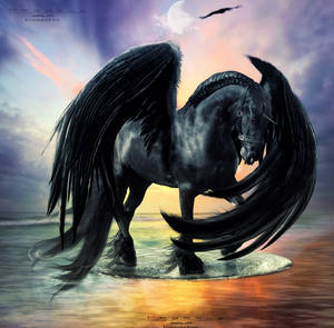 pegasus