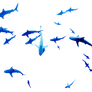 Shark PNG