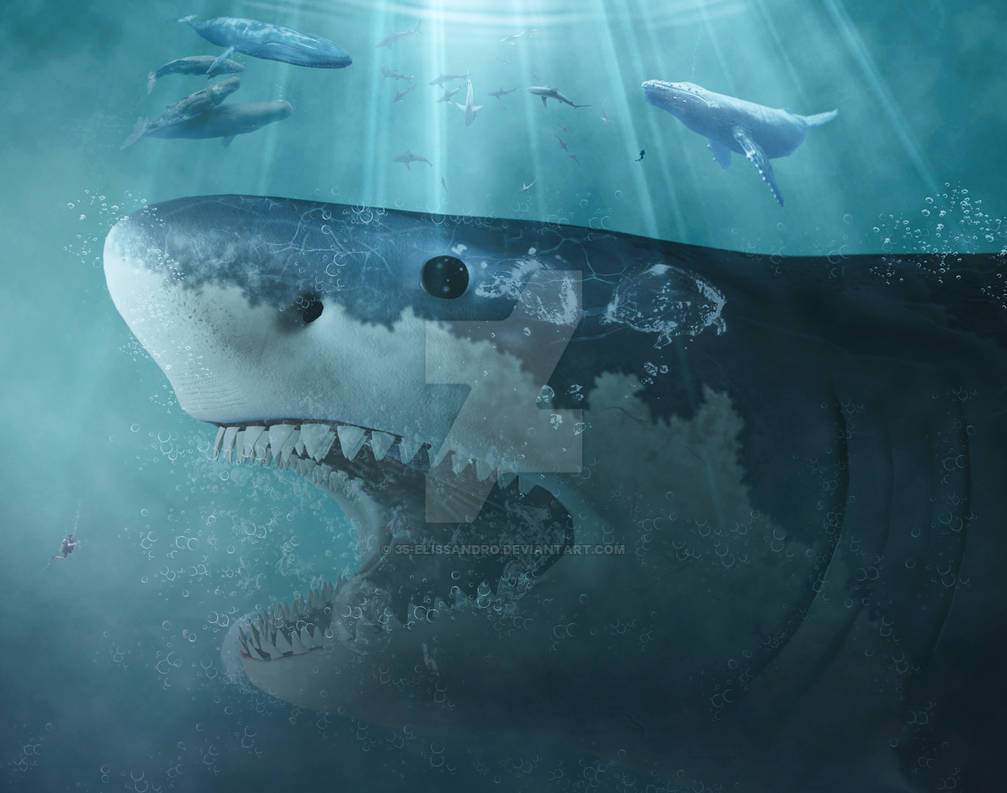 Megalodon By 35 Elissandro On DeviantArt megalodon-by-35-elissandro-on-deviantart