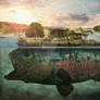 Underwater #Manipulation Big fish Island