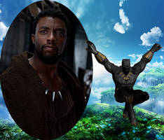 Good Bye, Chadwick Boseman