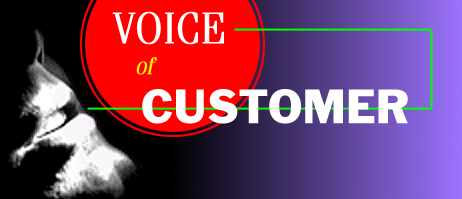 VOICE OF CUSTOMER