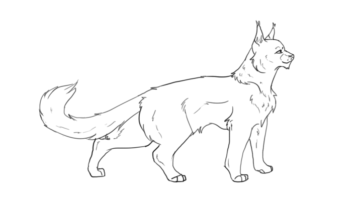 Free Maine Coon Lineart