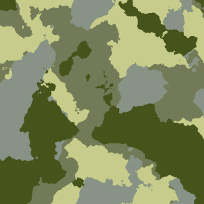 Camouflage Pattern