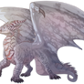 The Albino Red Dragon
