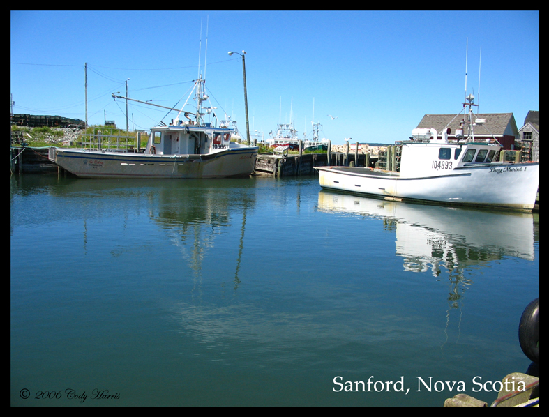 Sanford Cape Islanders