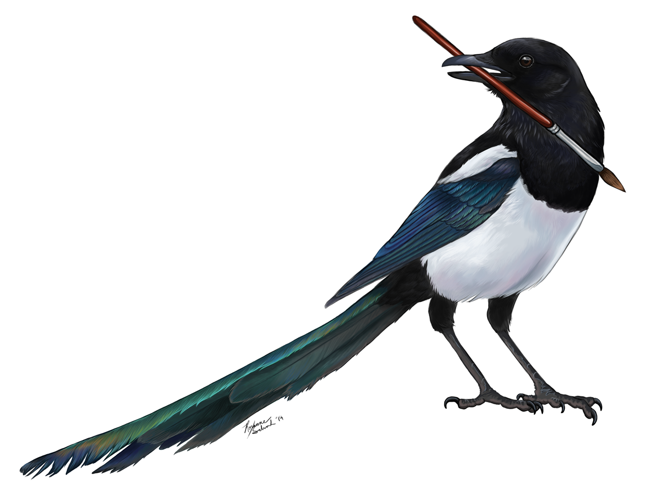 Сорока для детей