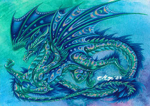Champion Maris dragon design