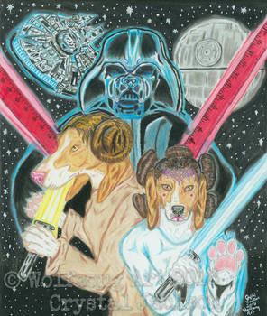 Star Wars Beagles Commission  (Final)