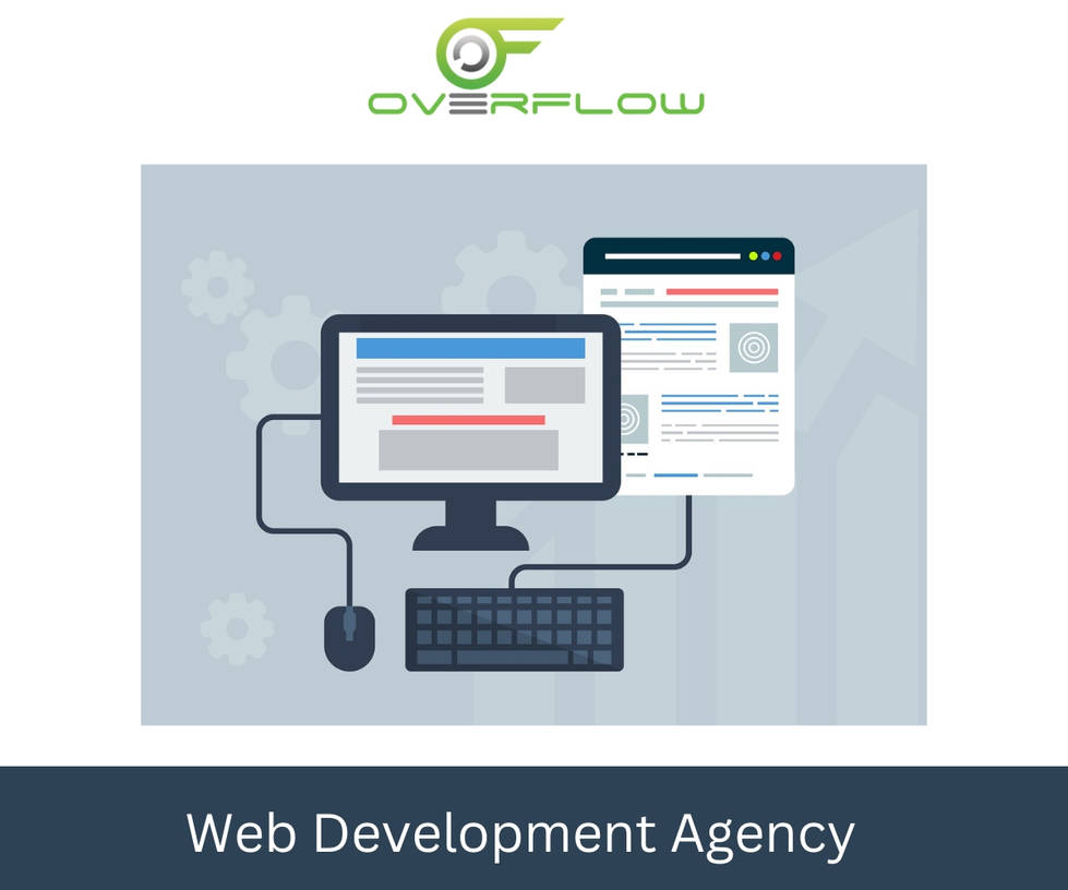 Overflow Plr Web Development Agency Overflow Software Solution by Overflowplr on ...