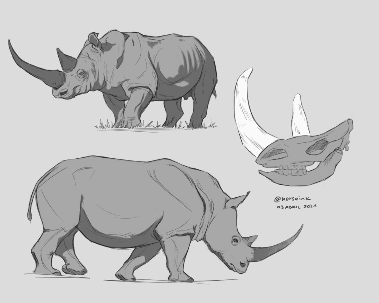 Rhinos by horseiink on DeviantArt