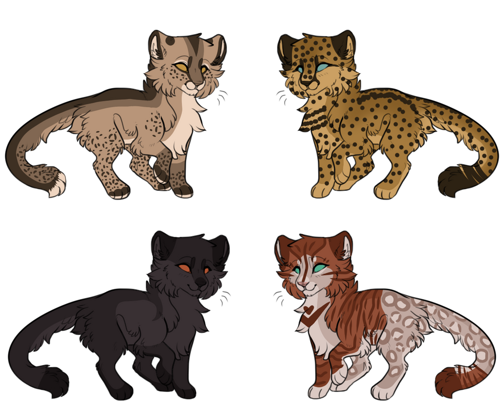 Big Cats For Sale OPEN By BlubirdArtz On DeviantArt Big cats for sale open by blubirdartz on deviantart