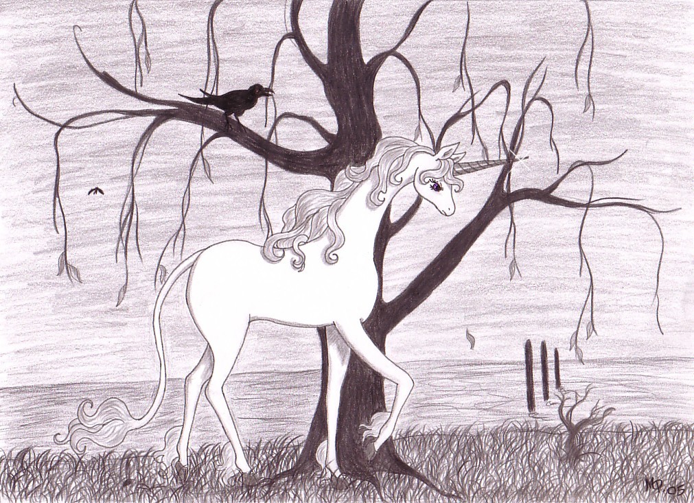 The last Unicorn - Solitude