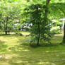 Japanese Temple Landscape