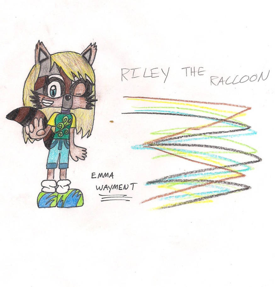 Racoon Riley Riley the Racoon by Sonicemma on DeviantArt