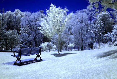 garden infrared