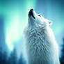 Artic large male white wolf howling northern light