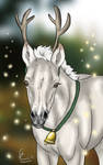 Hope you had a great christmas by xSapience Hope you had a great christmas by xSapience
