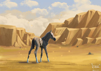 Akhal Teke foal in the desert of Turkmenistan