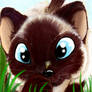 KIttie comission 4 Akimaa