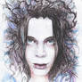 ville valo