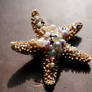 Violet Sea Star
