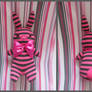 Striped rabbit Rabbee