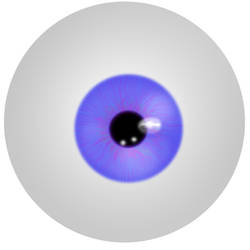 Eye