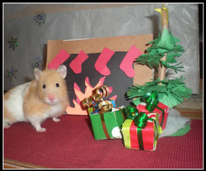 Hamster Christmas