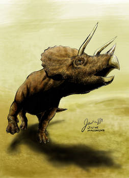 Triceratops