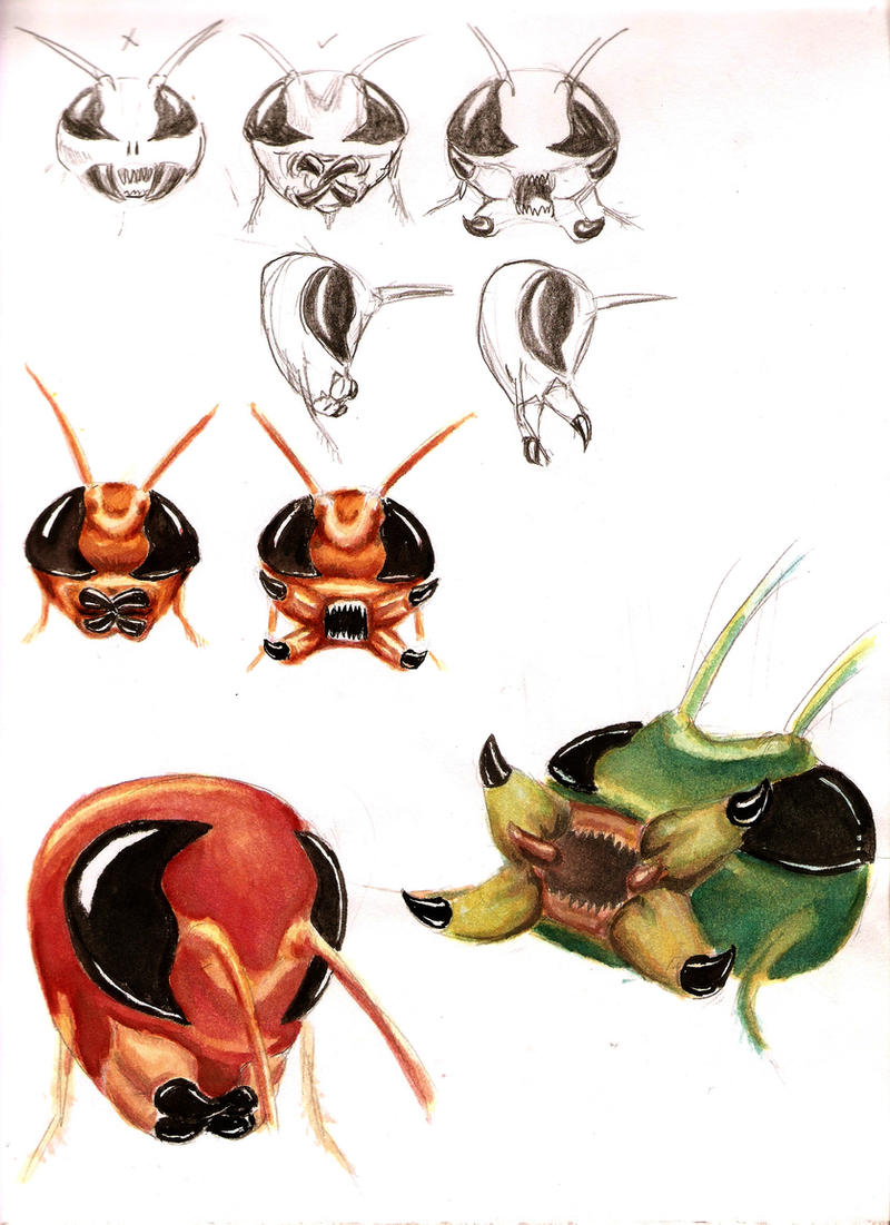 Demon Roach Studies 1