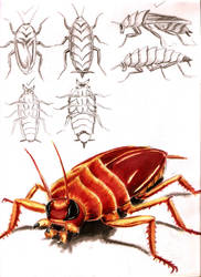 Demon Roach Studies 2 by Jujusaurus