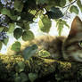 Cute scene wallpaper,exclusive