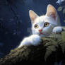 Cute scene wallpaper,exclusive