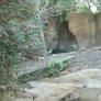 Zoo Picture 2