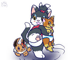 spining foxes